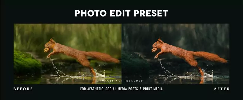 Lightroom presets
