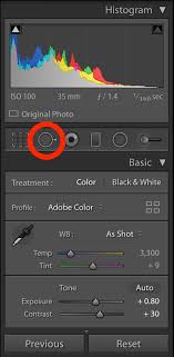 remove objects in lightroom